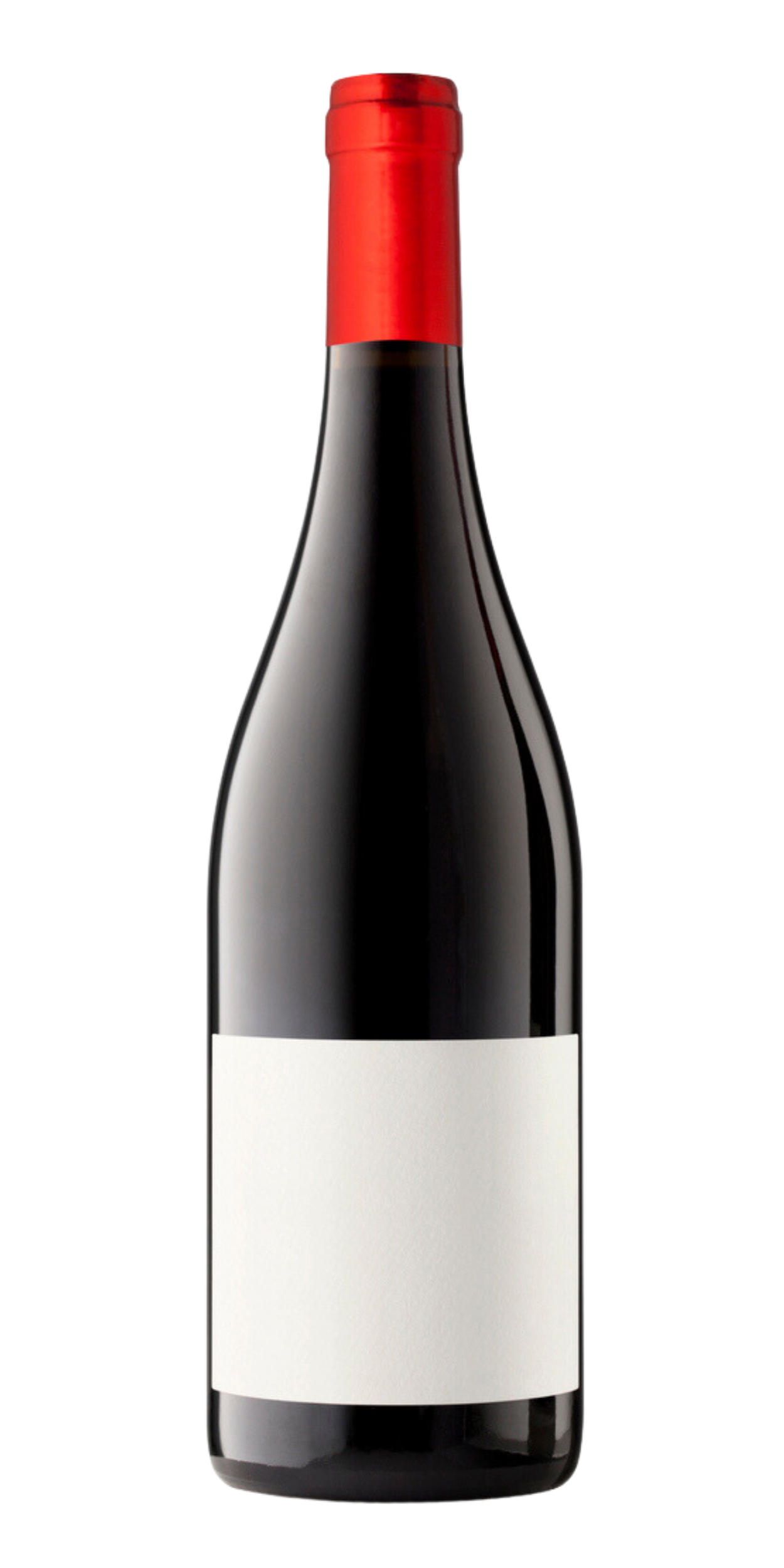 JEAN-FRANÇOIS GRAS 2016